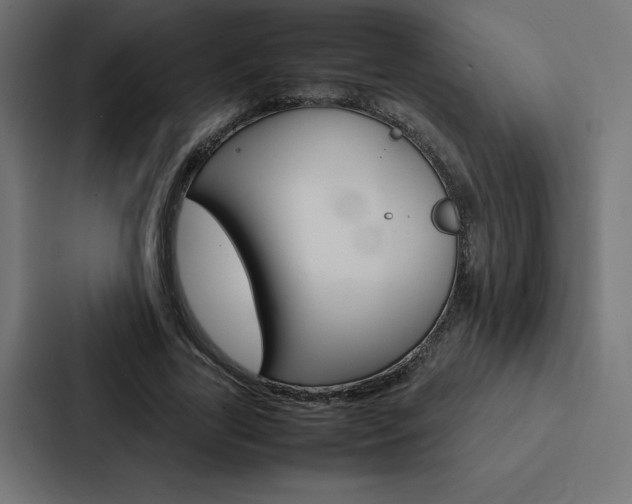 X0000088190731200705150959