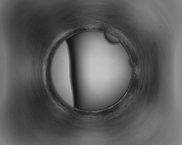 X0000088190732200705150959