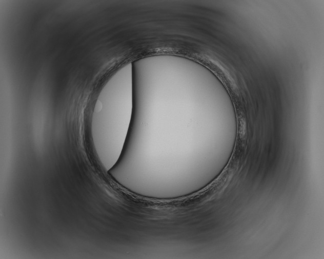 X0000088190733200705150959