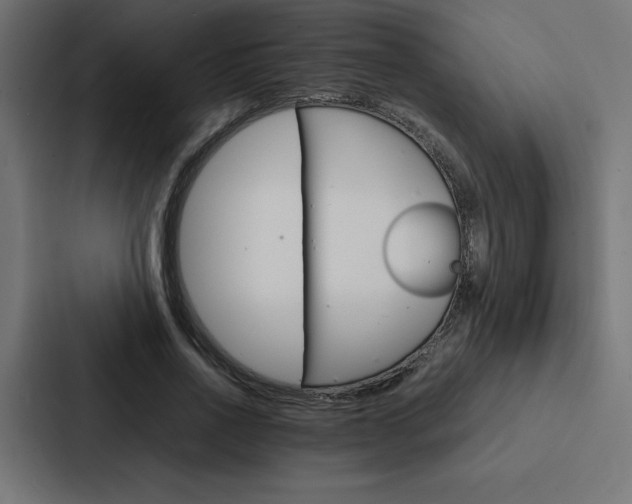 X0000088190734200705150959
