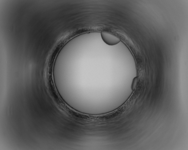 X0000088190736200705150959