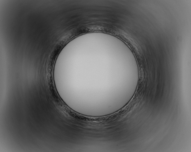X0000088190737200705150959