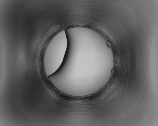 X0000088190738200705150959