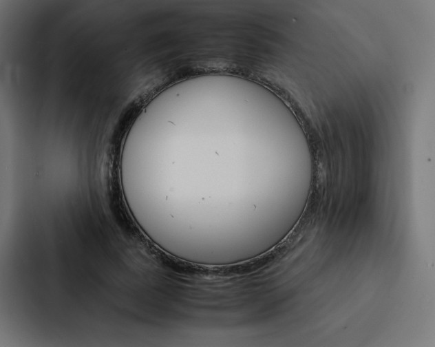 X0000088190739200705150959