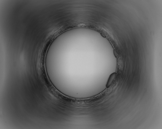 X0000088190740200705150959