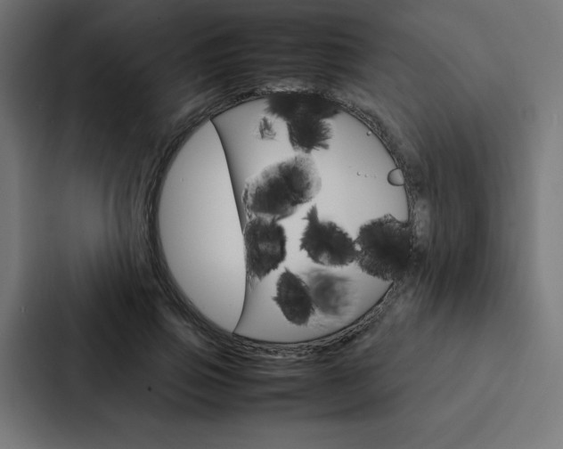 X0000088190741200705150959