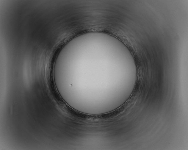 X0000088190742200705150959