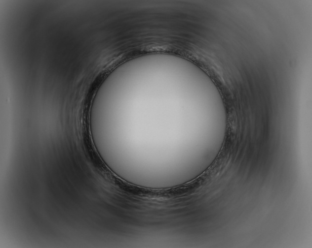 X0000088190743200705150959