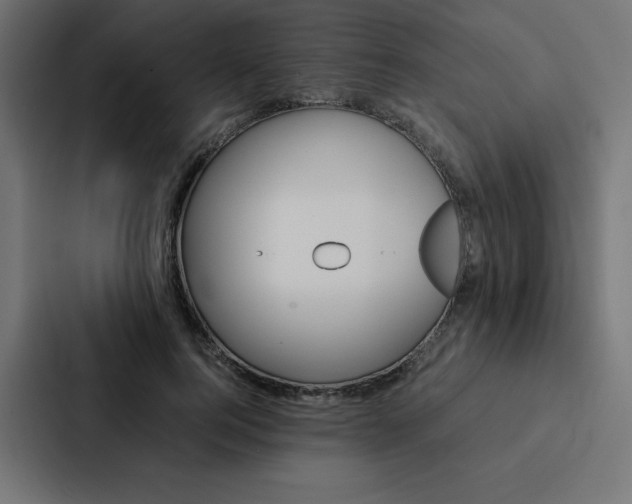 X0000088190744200705150959