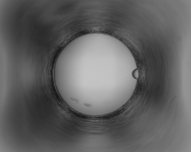 X0000088190746200705150959
