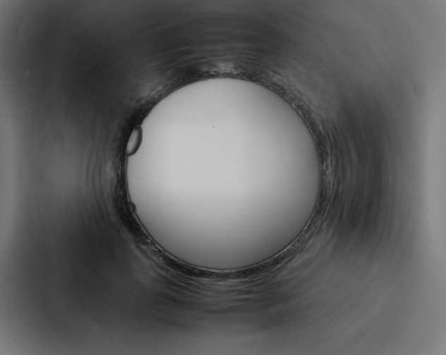 X0000088190747200705150959
