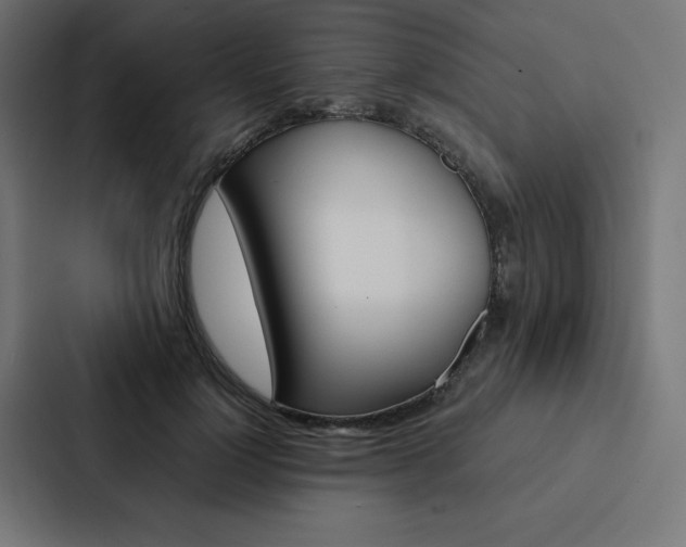X0000088190748200705150959