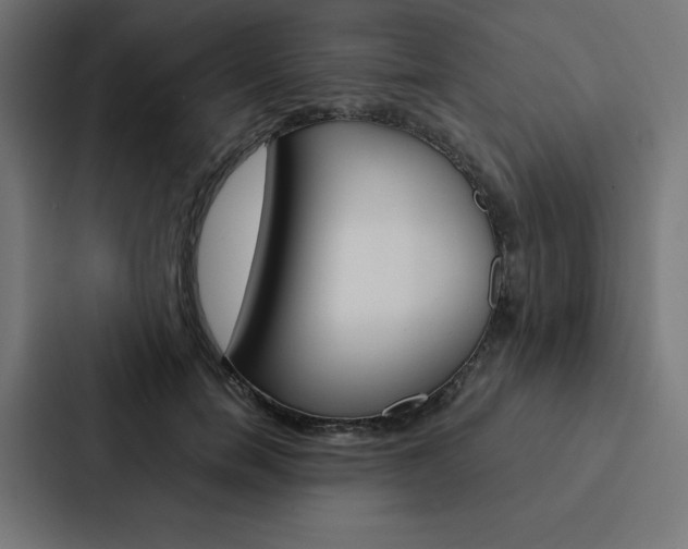 X0000088190750200705150959