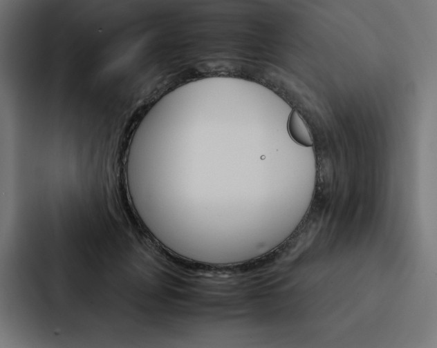 X0000088190751200705150959