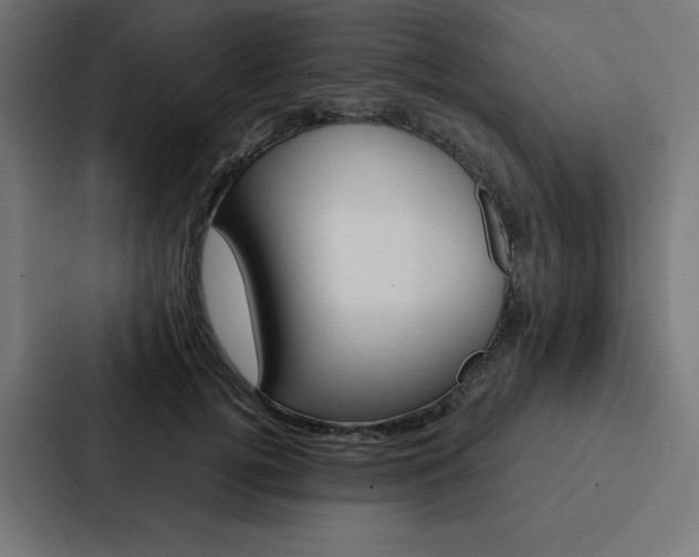 X0000088190752200705150959