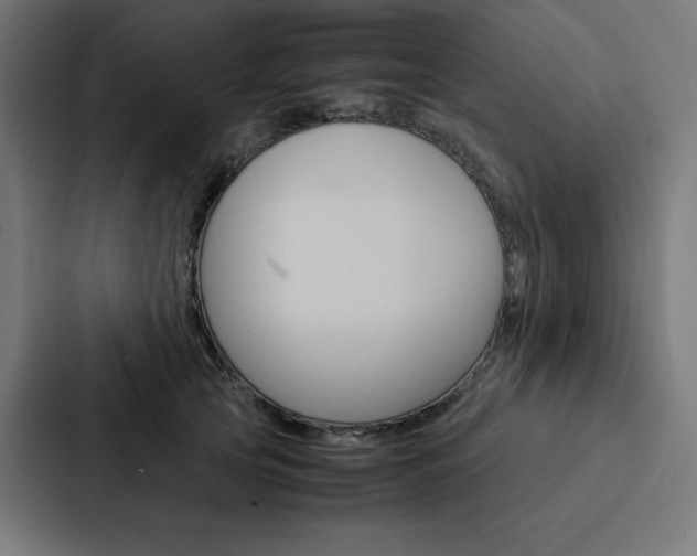 X0000088190753200705150959