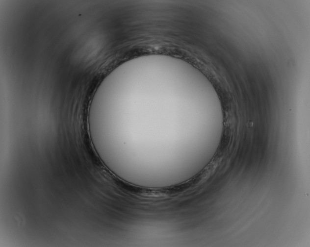 X0000088190754200705150959