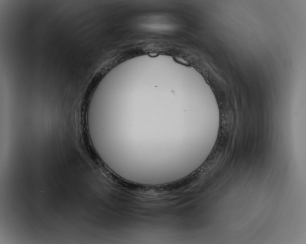 X0000088190755200705150959