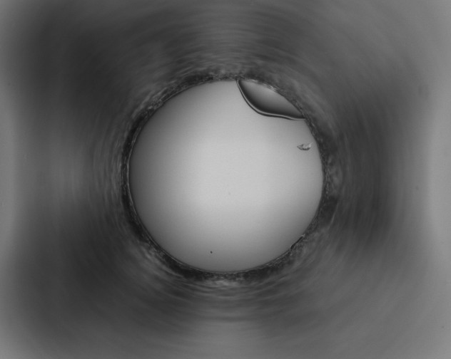 X0000088190756200705150959