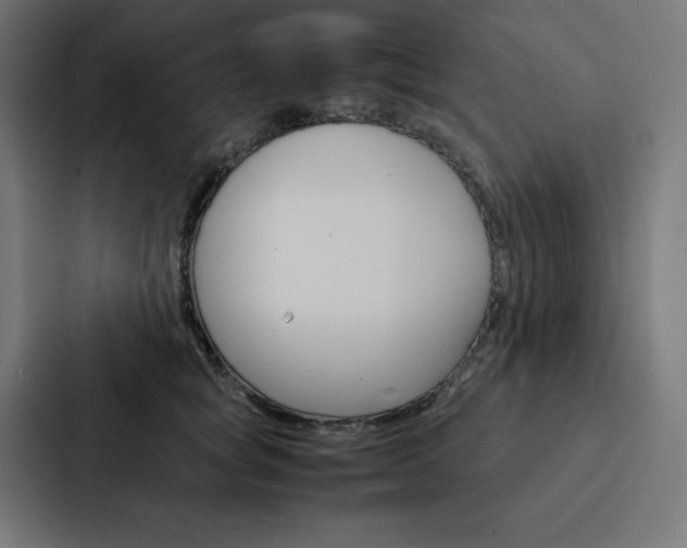 X0000088190757200705150959