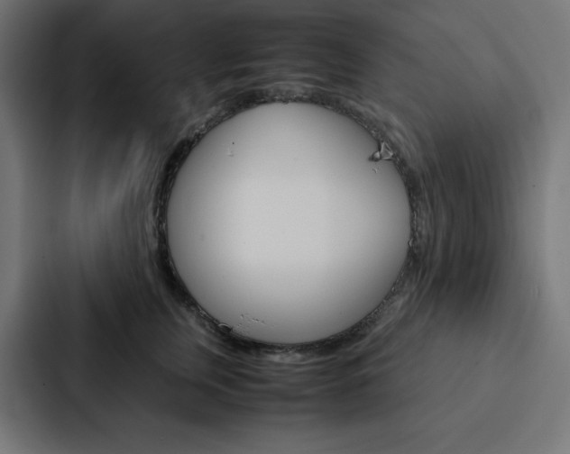 X0000088190759200705150959
