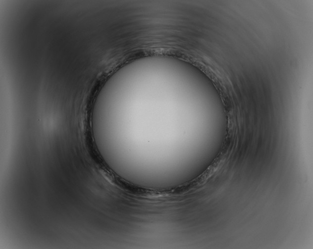 X0000088190760200705150959