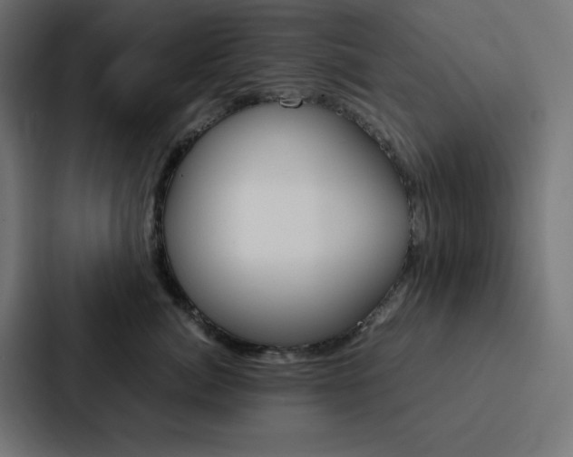 X0000088190764200705150959