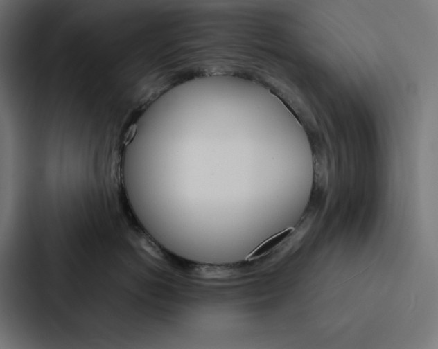 X0000088190766200705150959