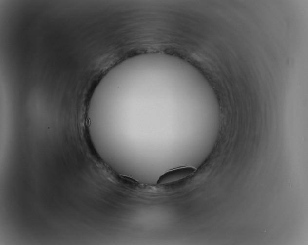 X0000088190768200705150959