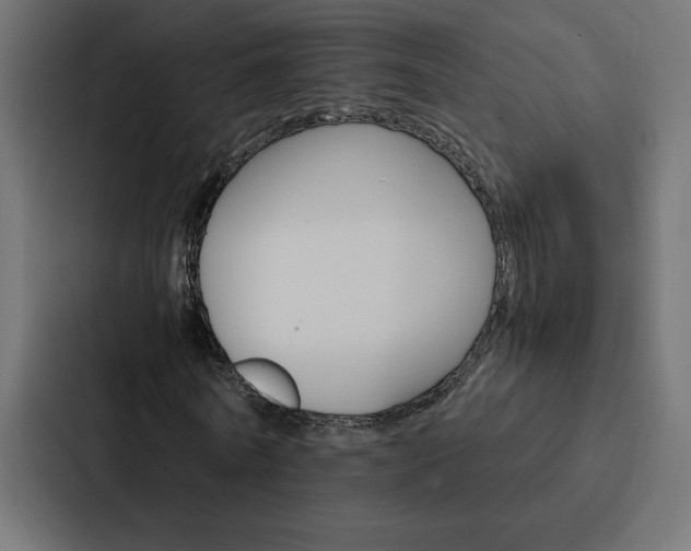 X0000088190770200705150958