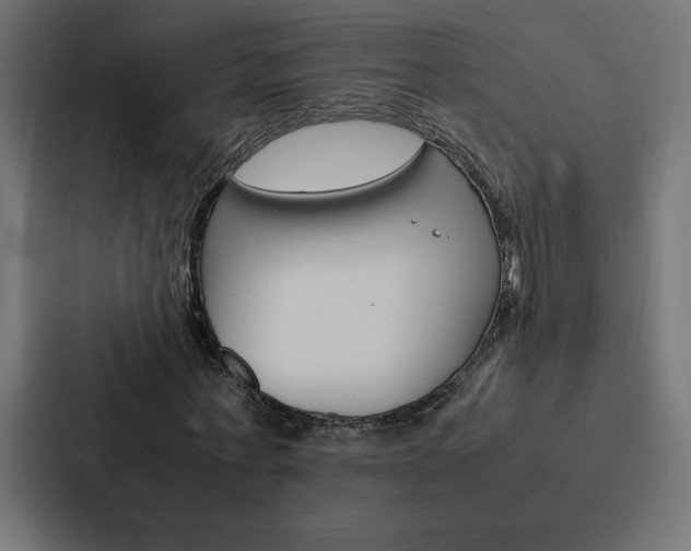X0000088190771200705150958