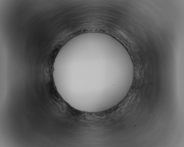 X0000088190774200705150958