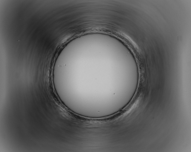 X0000088190777200705150958