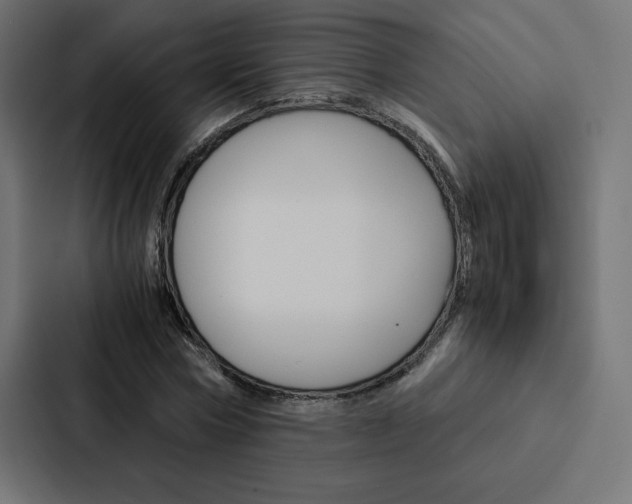 X0000088190778200705150958