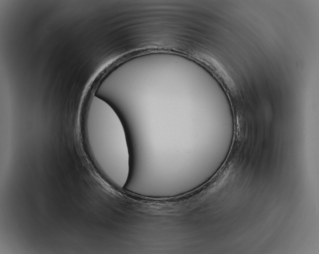 X0000088190780200705150958