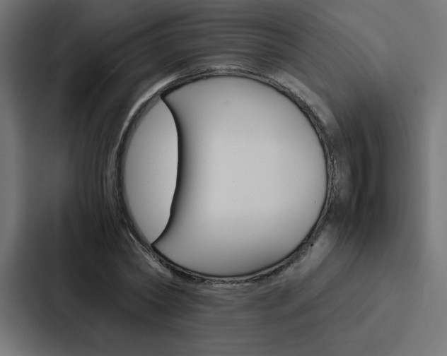 X0000088190782200705150958