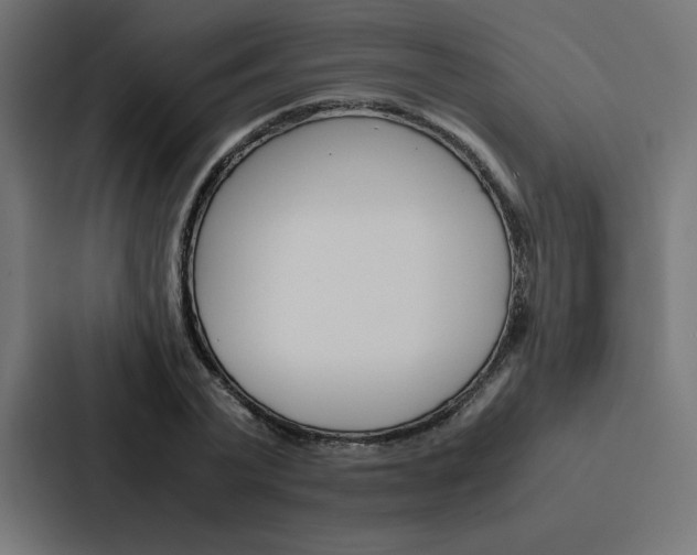 X0000088190783200705150958