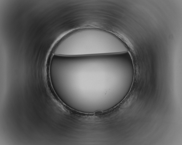 X0000088190784200705150958