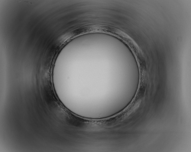 X0000088190785200705150958