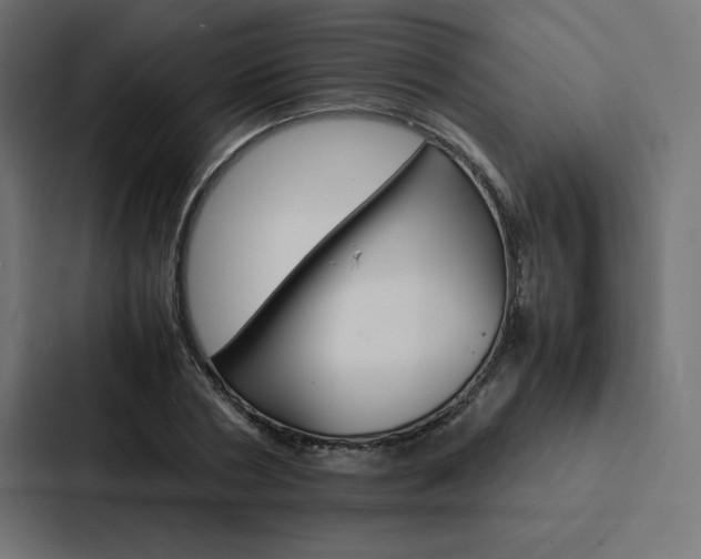 X0000088190786200705150958
