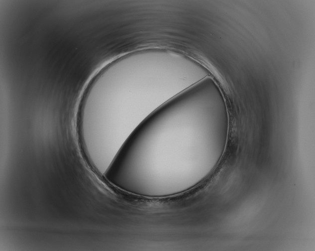X0000088190787200705150958