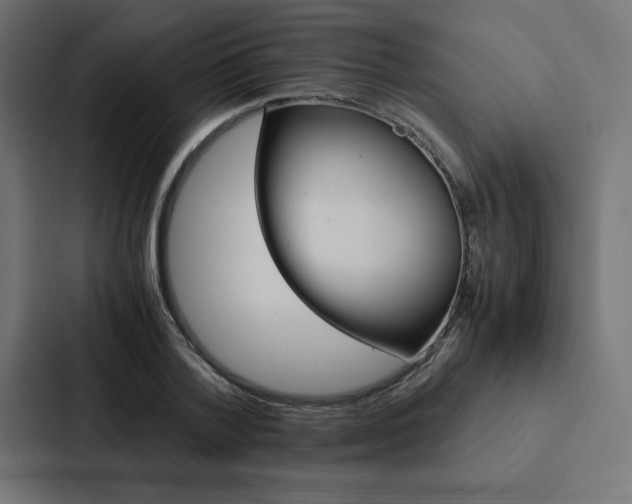 X0000088190788200705150958