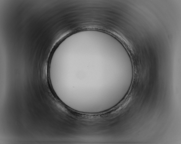 X0000088190790200705150958