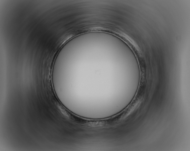 X0000088190793200705150958