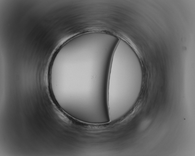 X0000088190795200705150958
