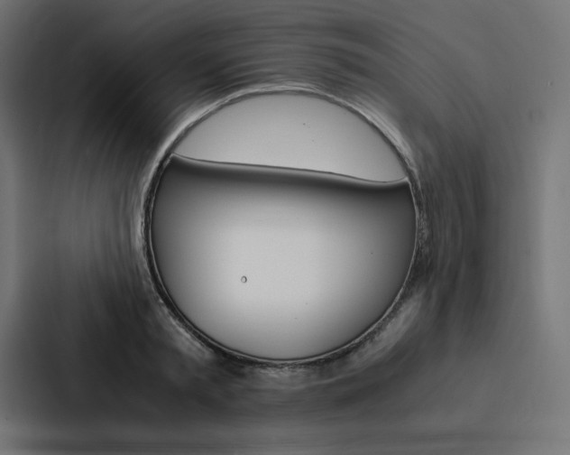 X0000088190797200705150958