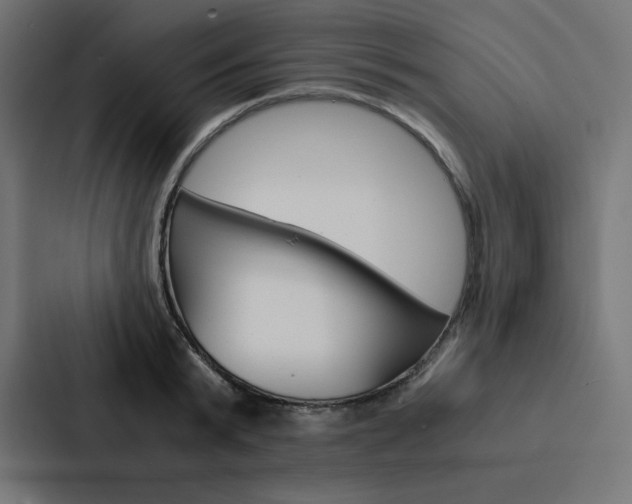 X0000088190799200705150958