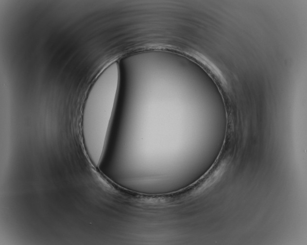 X0000088190801200705150958