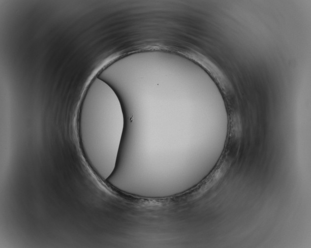 X0000088190806200705150958