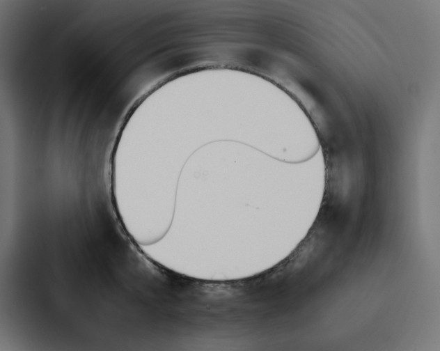 X0000088190807200705150958